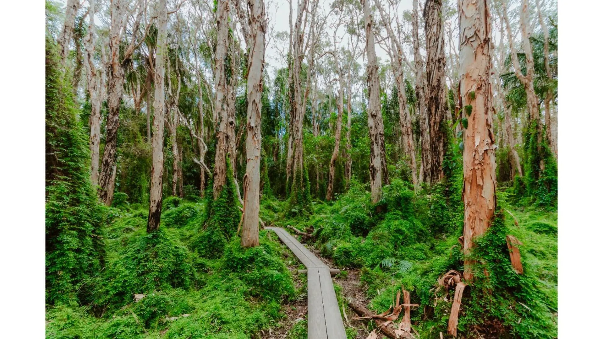 Wildlife Haven By Tiny Away Villa Agnes Water Australia